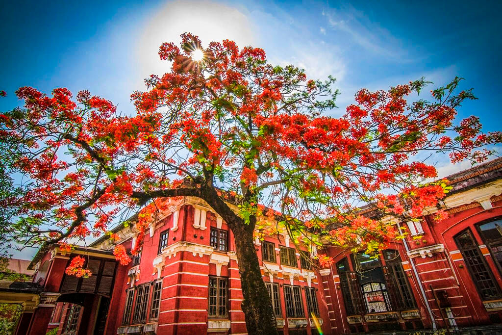 Photograph the festive spirit of Vietnam’s culture